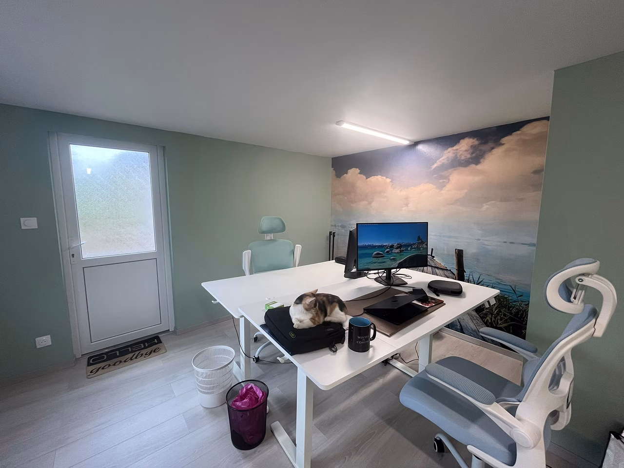 Bureau de l'agence web aux Forges, un ancien garage aménagé, avec un chat sur la table